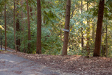 Road To Beach 