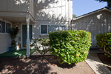 1474 Wildrose Way, Mountain View 94043 - Entry 