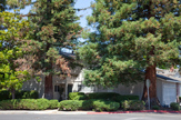 1474 Wildrose Way, Mountain View 94043 - Wildrose Way 1474 