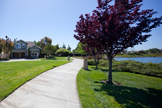 109 Windrose Ln, Redwood Shores 94065 - Lagoon 