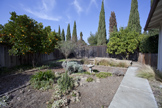 Side Yard