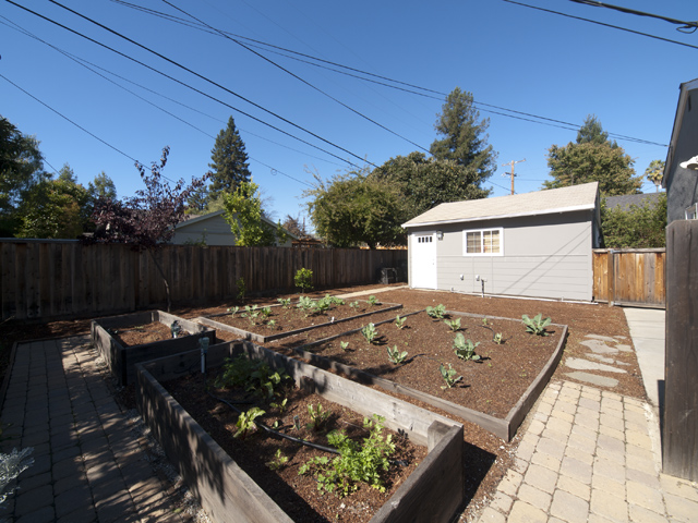 Garden picture - 4033 Campana Dr, Palo Alto 94306