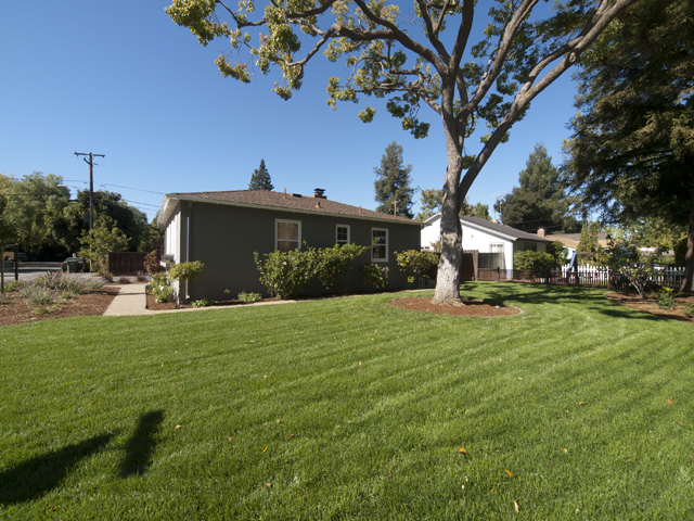 Side Yard picture - 4033 Campana Dr, Palo Alto 94306