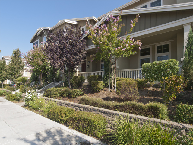 Real Estate Pictures - 37084 Dusterberry Way, Fremont - Home For Sale Pictures