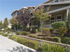 Dusterberry Way 37084