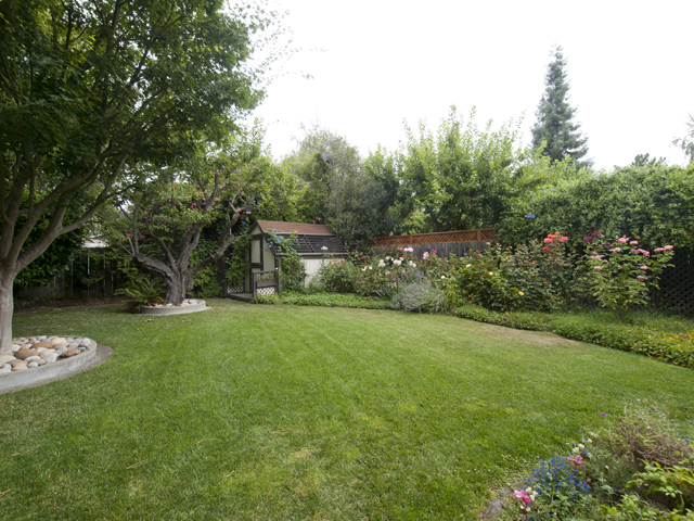 Backyard picture - 714 Matadero Ave, Palo Alto 94306
