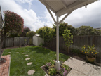 300 Mullet Ct, Foster City 94404 - Backyard (B)