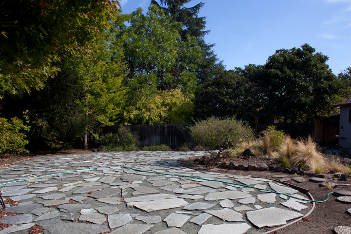 Backyard picture - 4117 Park Blvd, Palo Alto 94306