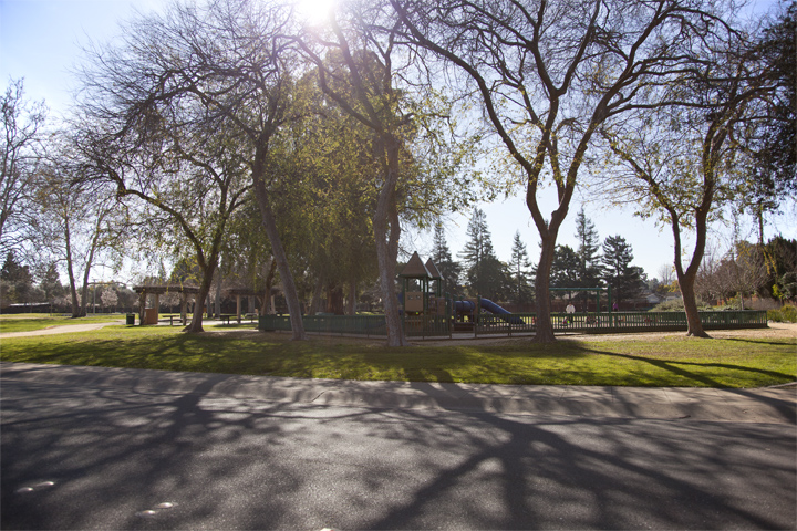 Park picture - 4117 Park Blvd, Palo Alto 94306
