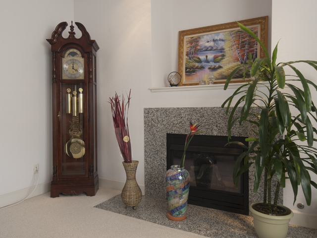 Fireplace (A) Picture - 1135 Phyllis Ave, Mountain View 94040 Fireplace (A) picture - 1135 Phyllis Ave, Mountain View 94040