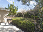 1032 Ringwood Ave, Menlo Park 94025 - Backyard (A)