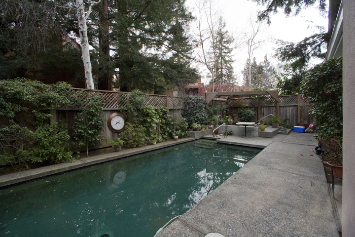 Backyard picture - 553 Suzanne Ct, Palo Alto 94306