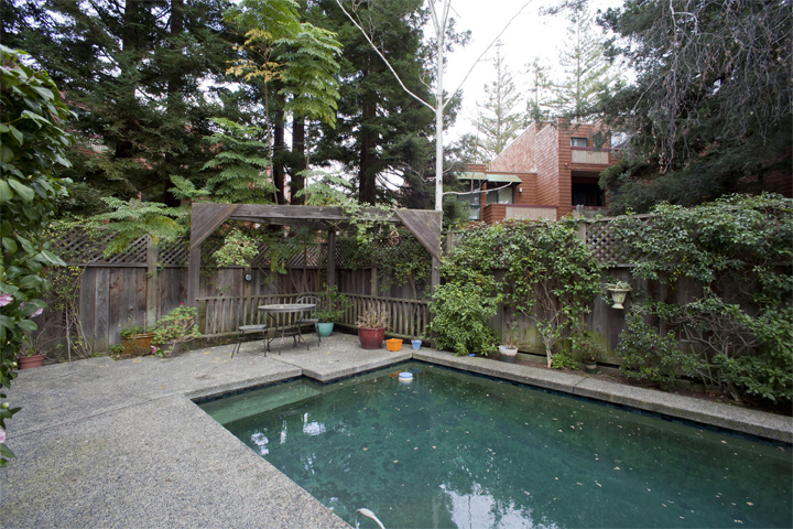 Backyard picture - 553 Suzanne Ct, Palo Alto 94306