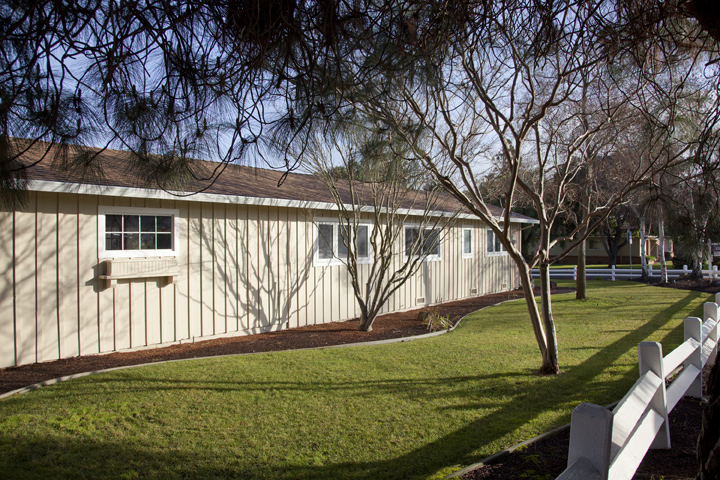 Side Yard (A) Picture - 614 Torwood Ln, Los Altos 94022 Side Yard (A) picture - 614 Torwood Ln, Los Altos 94022