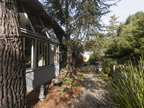 27197 Black Mountain Rd, Los Altos 94022 - Garden (B)