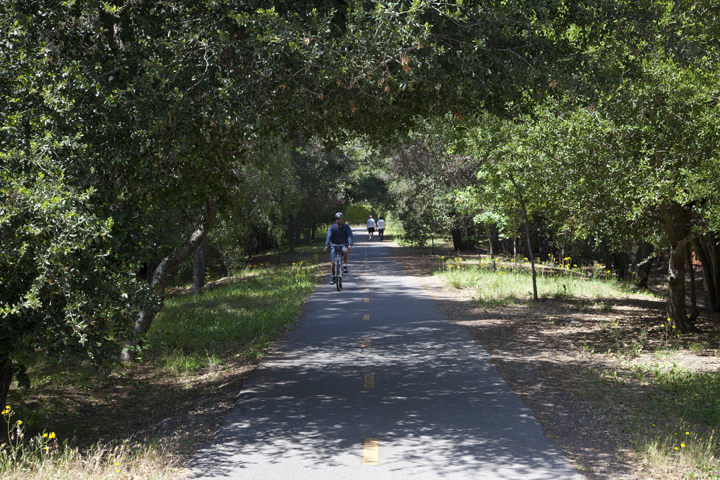 Bike Path  picture - 886 Chimalus Dr, Palo Alto 94306