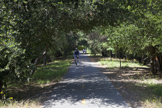 886 Chimalus Dr, Palo Alto 94306 - Bike Path 