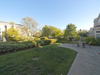 810 Corriente Point Dr, Redwood Shores 94065 - Back Yard (B)