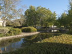 810 Corriente Point Dr, Redwood Shores 94065 - Back Yard (C)