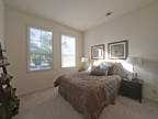 810 Corriente Point Dr, Redwood Shores 94065 - Downstairs Bedroom (B)