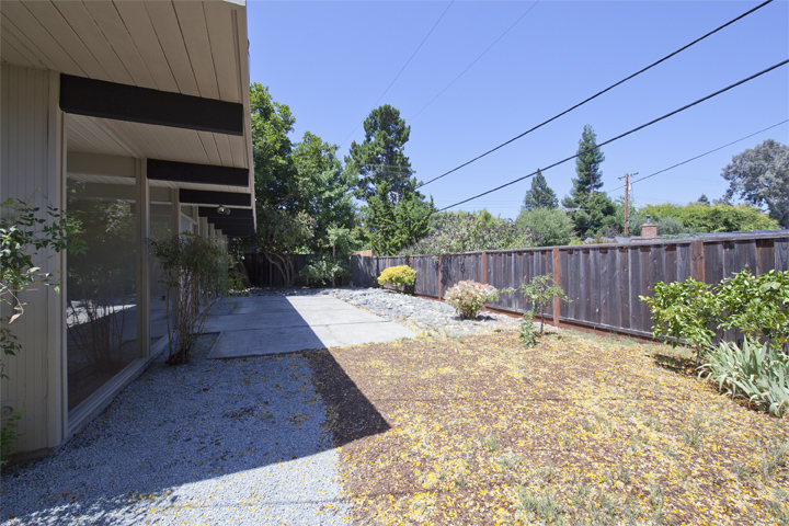 Backyard picture - 737 E Charleston Rd, Palo Alto 94303