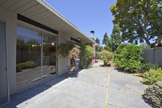 Side Yard