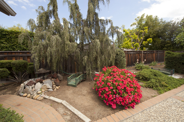 Backyard (B) Picture - 517 Los Ninos Way, Los Altos 94022 Backyard (B) picture - 517 Los Ninos Way, Los Altos 94022