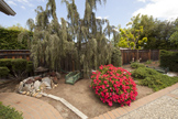 517 Los Ninos Way, Los Altos 94022 - Backyard (B)