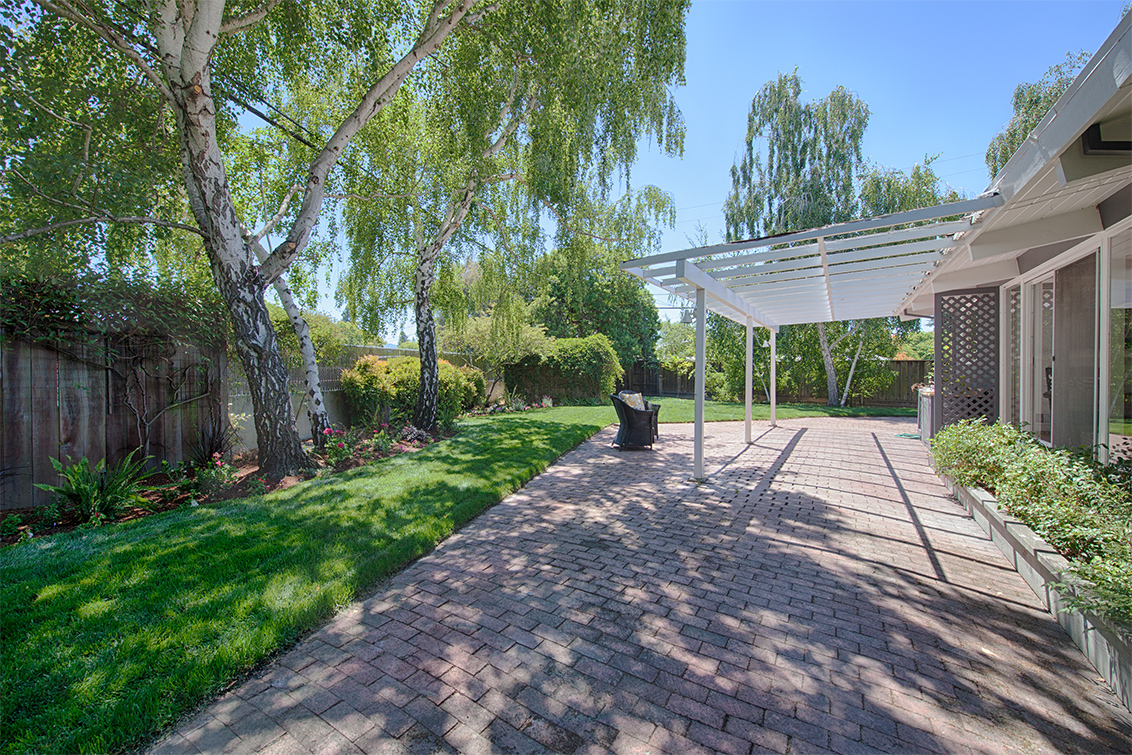 Backyard picture - 3890 Louis Rd, Palo Alto 94303