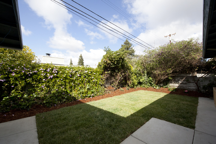 Backyard picture - 3470 Middlefield Rd, Palo Alto