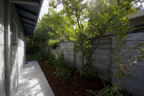 Side Yard