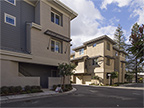 Trinity Ln 1104