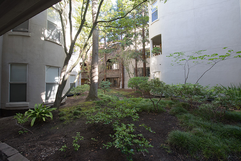 Courtyard picture - 427 Alma St, Unit 107, Palo Alto 94301