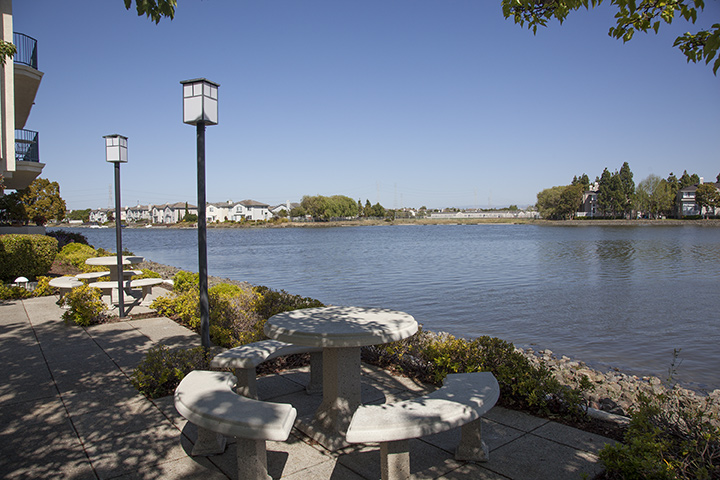 Picnic Area Picture - 401 Baltic Cir 429, Redwood Shores 94065 Picnic Area picture - 401 Baltic Cir 429, Redwood Shores 94065