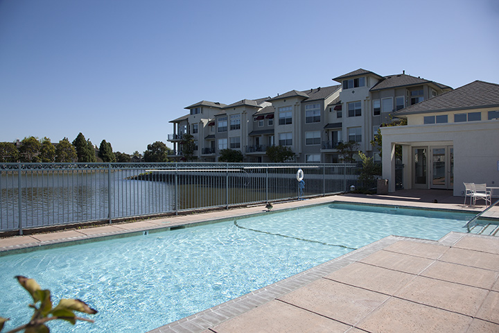 Swimming Pool 1 (B) Picture - 401 Baltic Cir 429, Redwood Shores 94065 Swimming Pool 1 (B) picture - 401 Baltic Cir 429, Redwood Shores 94065