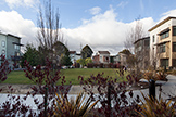 View From Porch