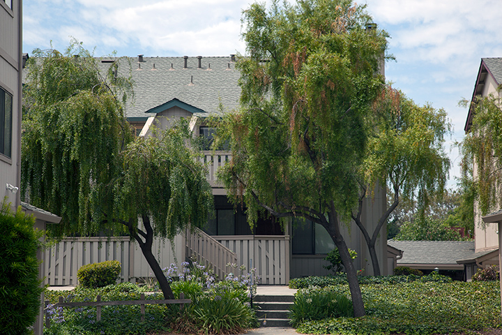 382 Coyote Creek Cir, San Jose - Home For Sale Picture