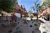 Court Yard