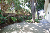 Side Yard