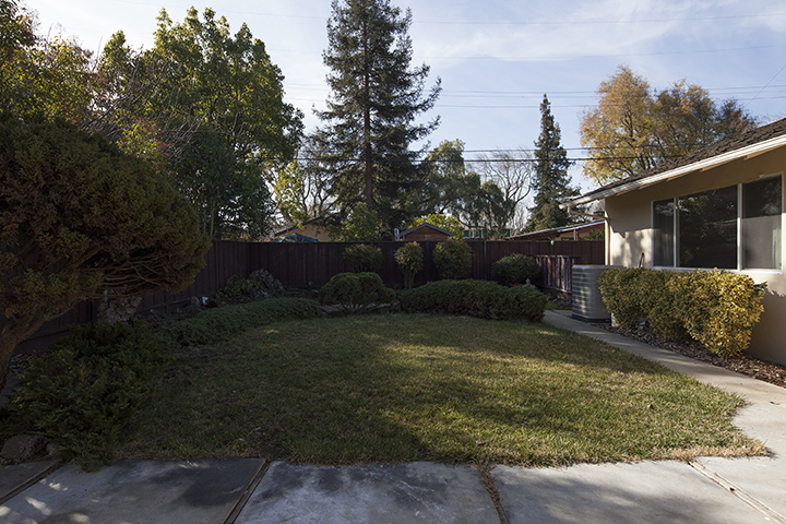 Backyard picture - 3138 Flowers Ln, Palo Alto 94306