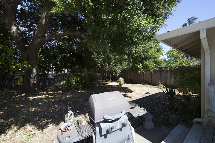 Backyard (A) Picture - 1085 Golden Way, Los Altos 94024 Backyard (A) picture - 1085 Golden Way, Los Altos 94024