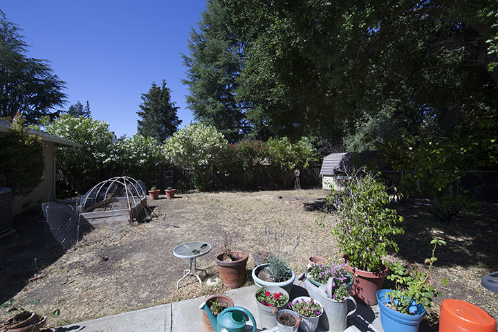 Backyard (B) Picture - 1085 Golden Way, Los Altos 94024 Backyard (B) picture - 1085 Golden Way, Los Altos 94024