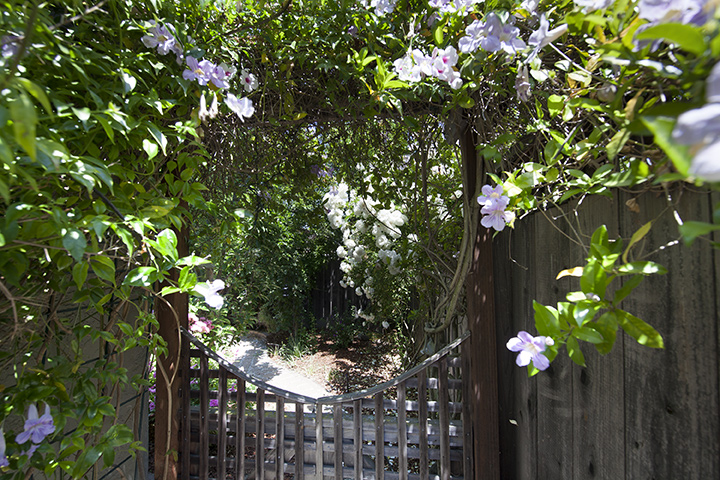 Garden Gate picture - 2251 Harvard St, Palo Alto 94306