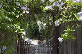 Garden Gate
