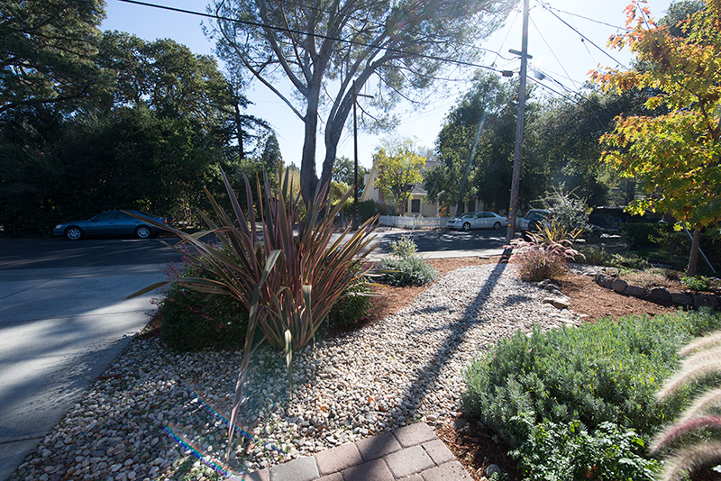Front Yard (A) Picture - 840 La Para Ave, Palo Alto 94306 Front Yard (A) picture - 840 La Para Ave, Palo Alto 94306
