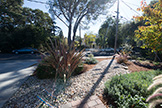 840 La Para Ave, Palo Alto 94306 - Front Yard (A)