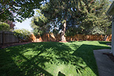 1007 Peggy Ln, Menlo Park 94025 - Backyard (A)