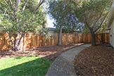 1007 Peggy Ln, Menlo Park 94025 - Backyard (B)