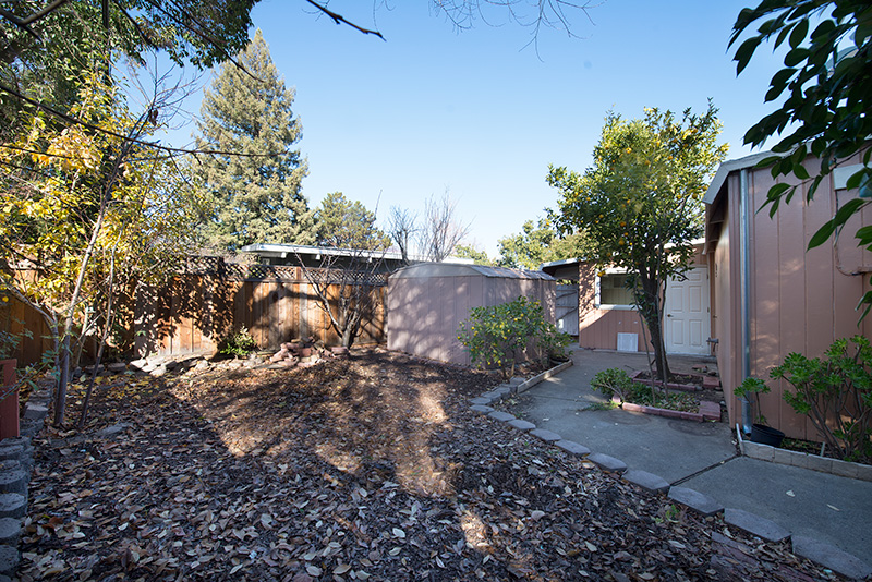 Backyard picture - 3661 Ramona Cir, Palo Alto 94306