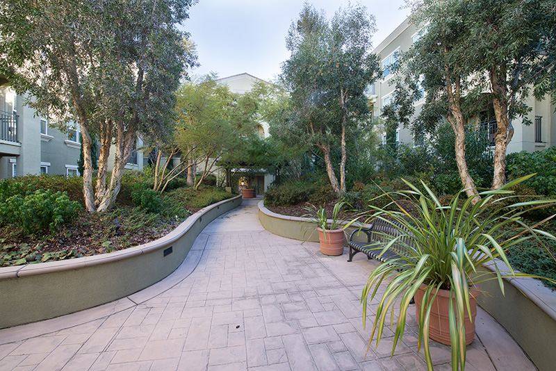 Courtyard picture - 600 S Abel St, Unit 223, Milpitas 95035